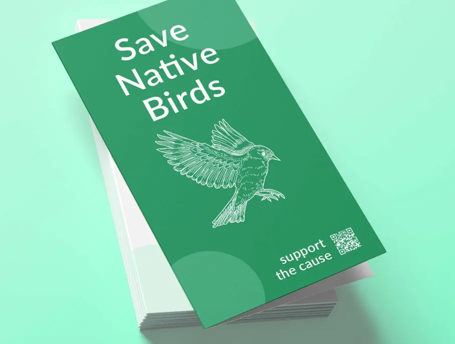Brochures example 5