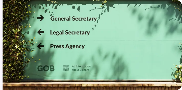 Government